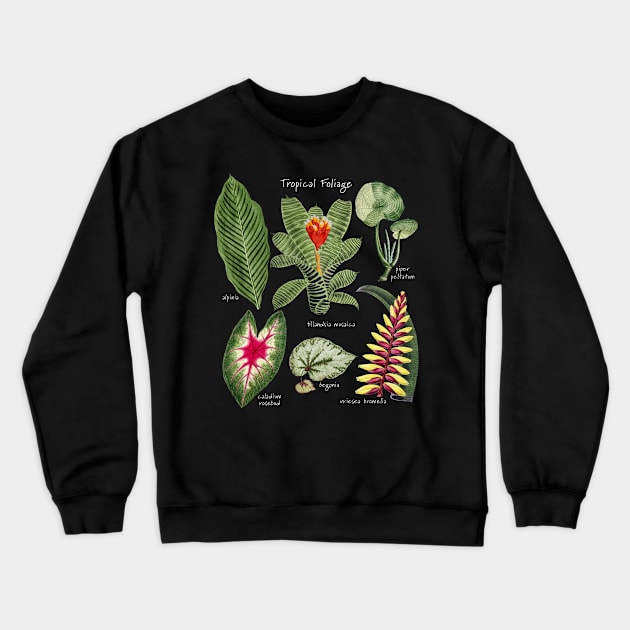 Tropical Plants Foliage Flowers Crewneck Sweatshirt by Pine Hill Goods